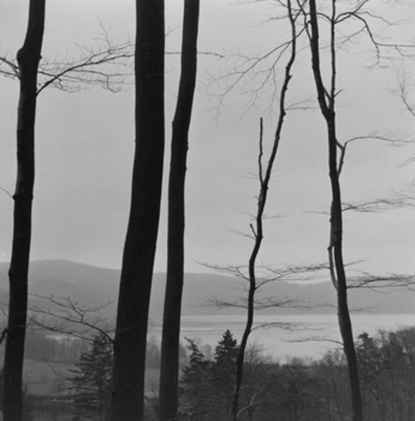 Oswald Kettenberger, Laacher See, o. D.